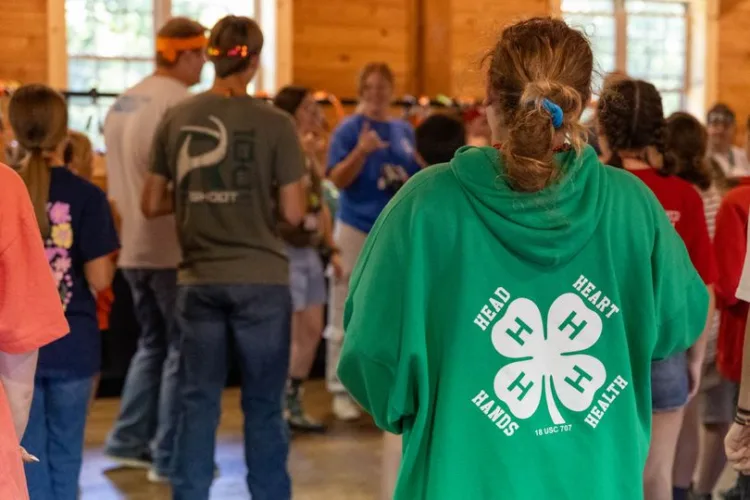 4-H seeks to help foster care youth